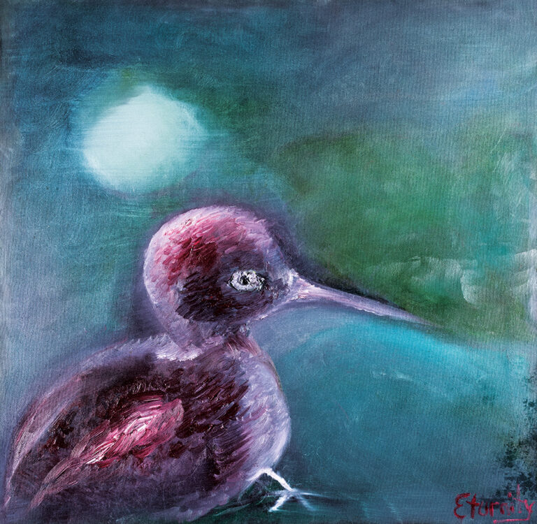 Obraz Kiwi pták od autora Eva Turnová