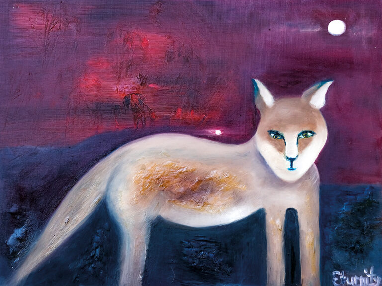 Obraz Šelma od autora Eva Turnová